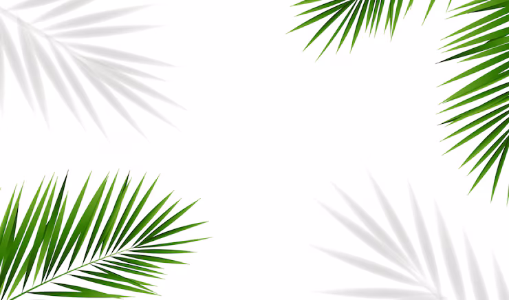 Palm trees background